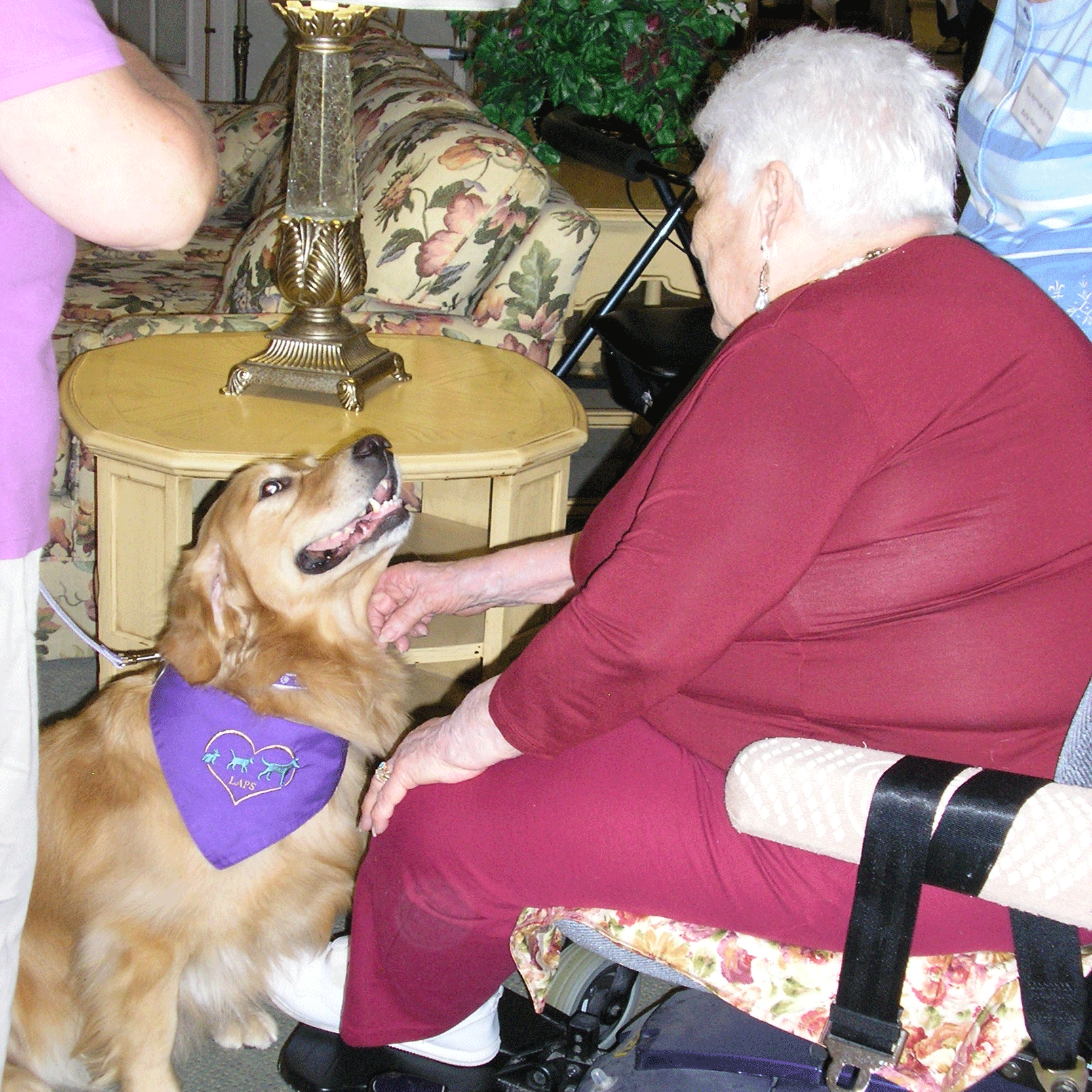 Elderly woman petting therapy dog with purple bandana