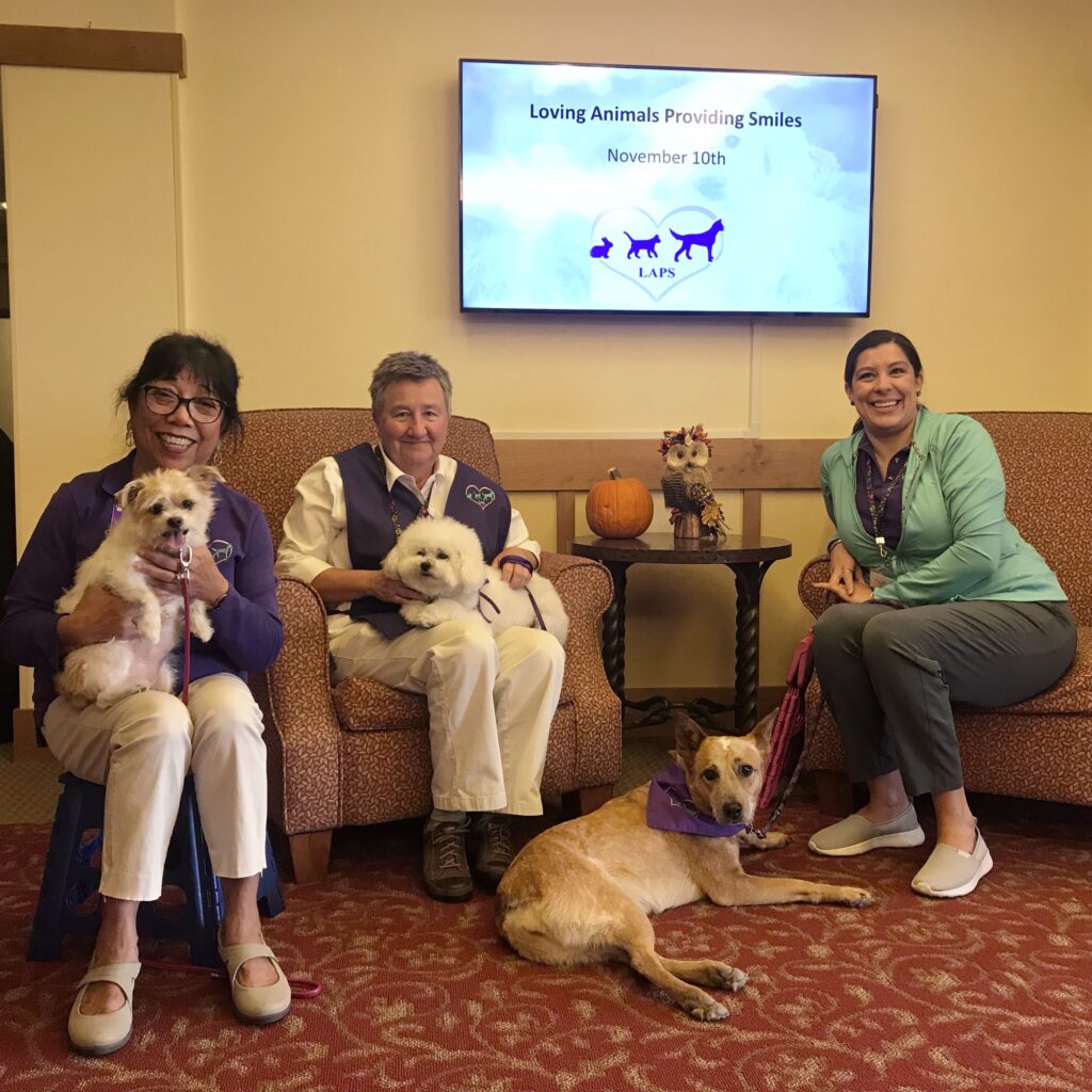 Three people with therapy dogs at LAPS event