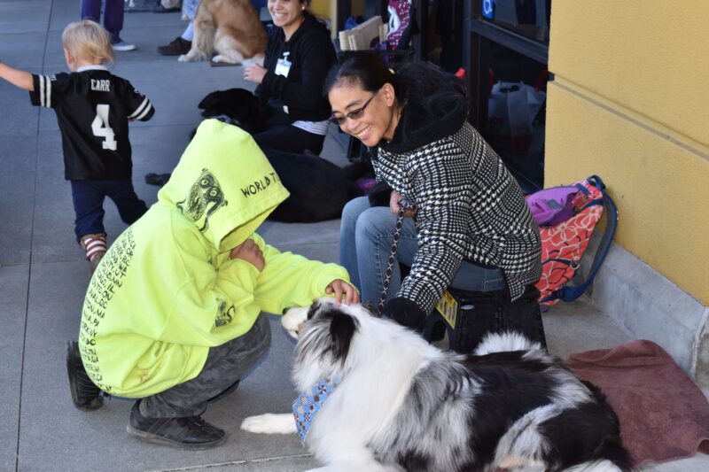 Adults and children interacting with dogs outside