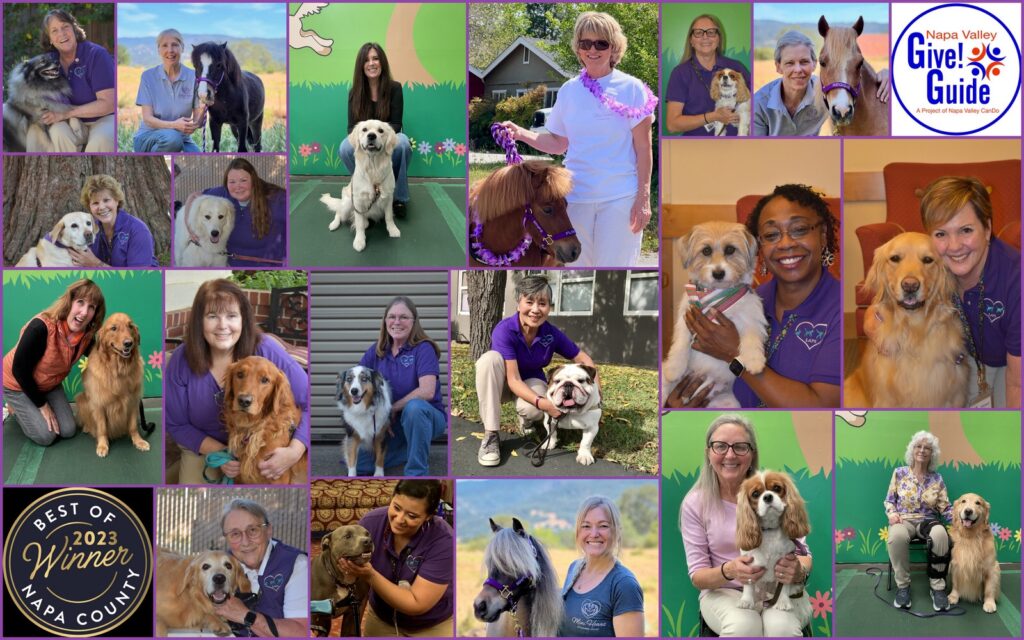 LAPS therapy animals with their handlers.